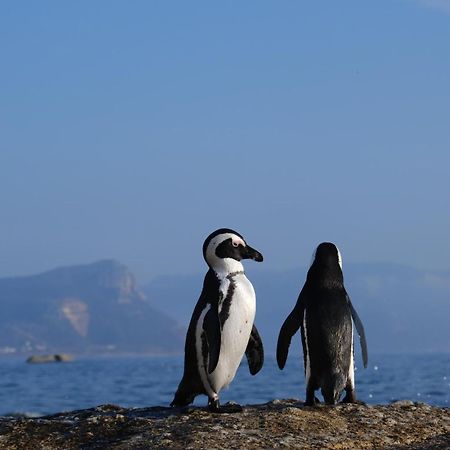 Penguin Haven . Luxury 2 Bedroom, Boulders Beach. Kapstadt Exterior foto