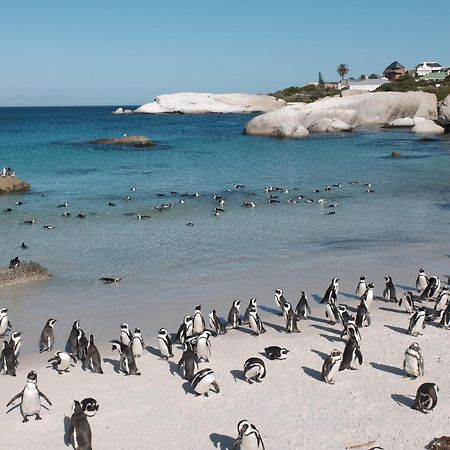 Penguin Haven . Luxury 2 Bedroom, Boulders Beach. Kapstadt Exterior foto
